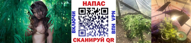 Сколько стоит Аткарск А ПВП  Вейп ТГК  Каннабис  Гашиш 